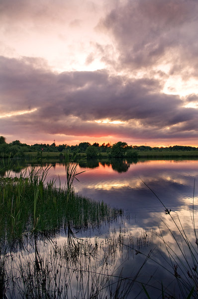 Rother Valley Sunset