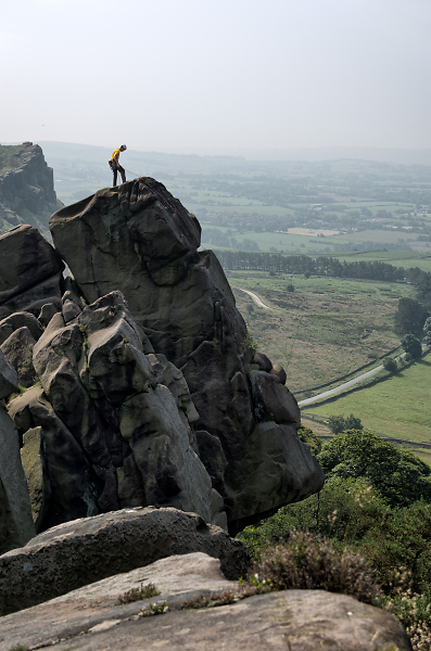 The Roaches