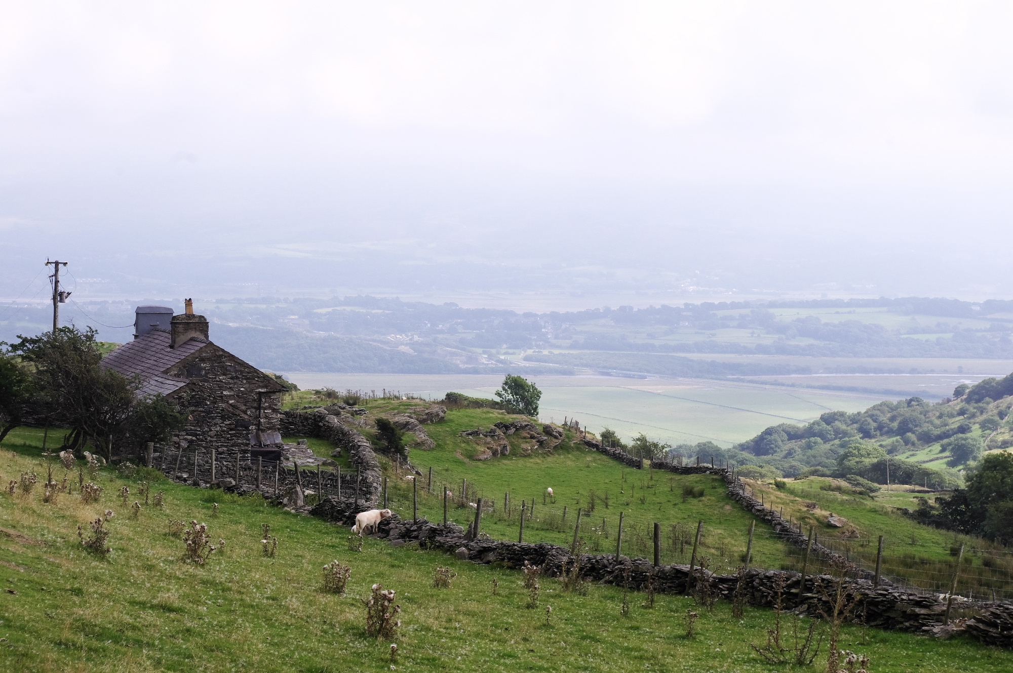 Welsh Hill Farm
