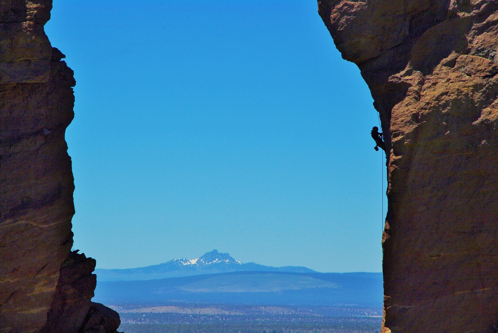 Climbing Monkey Face