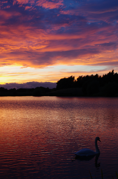 Another day done...a beautiful image won...