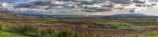 Dornoch Firth Viewpoint
