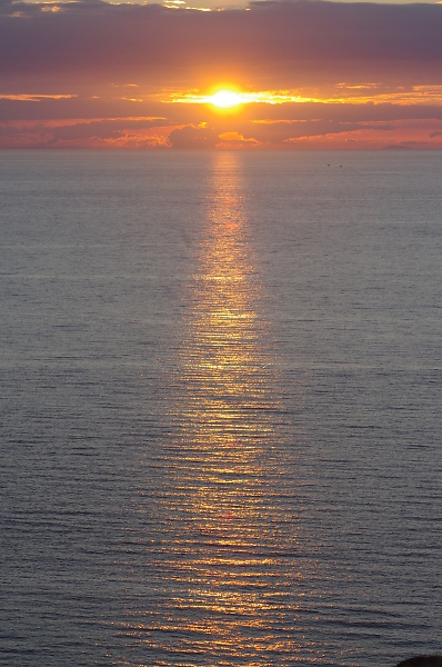 Golden torpedo