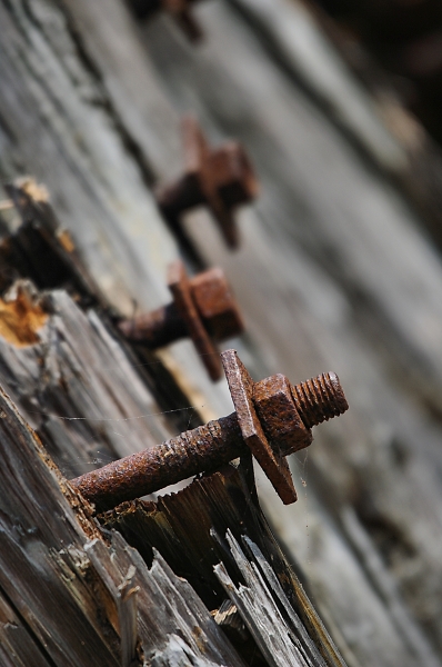 Harbour Wall