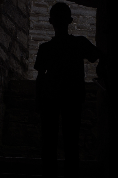 Into the Light