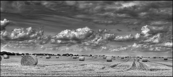 Lincolnshire  Wolds
