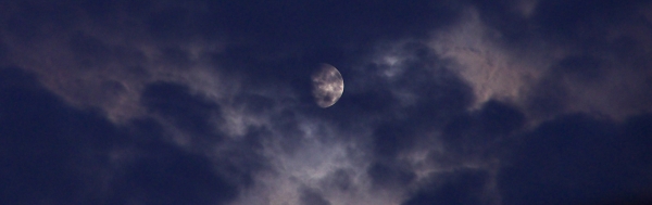 moonlight