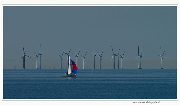 sailing on resund