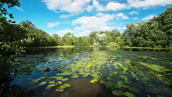 sandwell valley