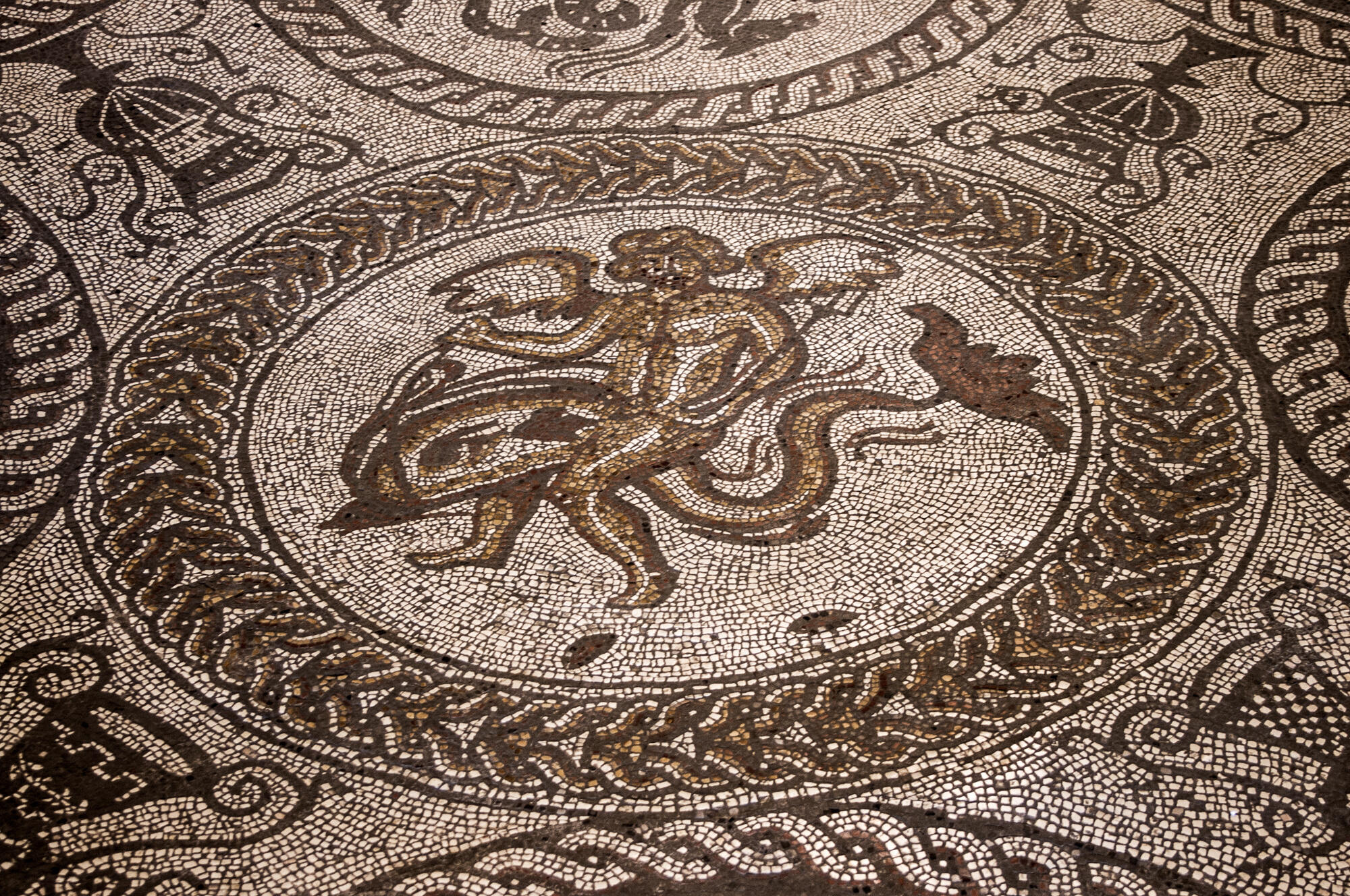 'Cupid on a Dolphin'