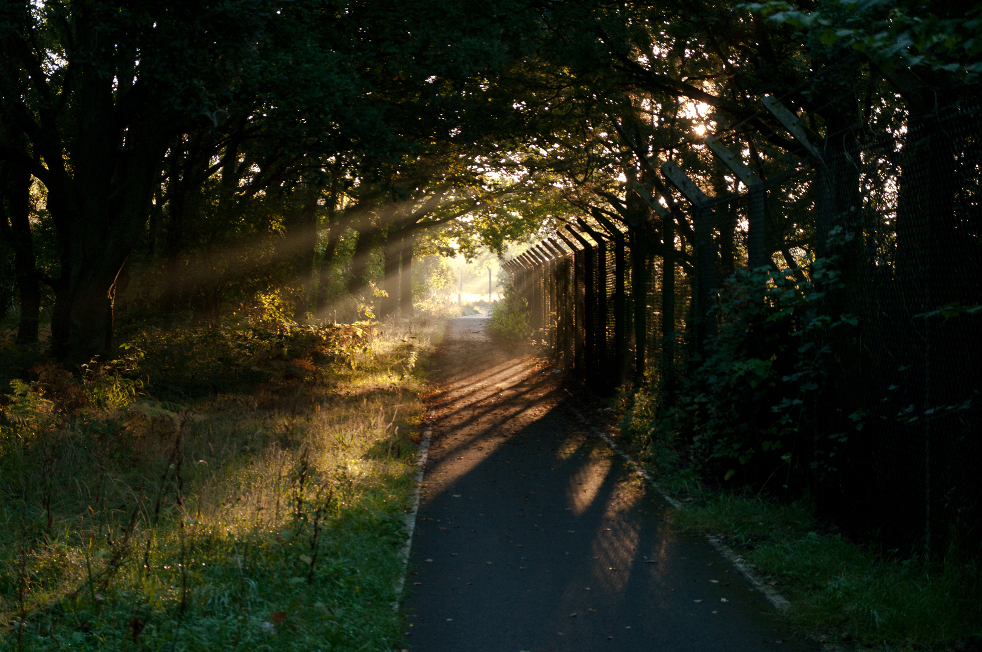 Sunday Dawn