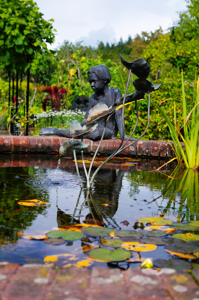 Boy by the pond