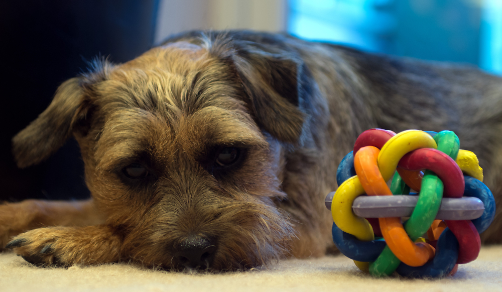 No more play today...