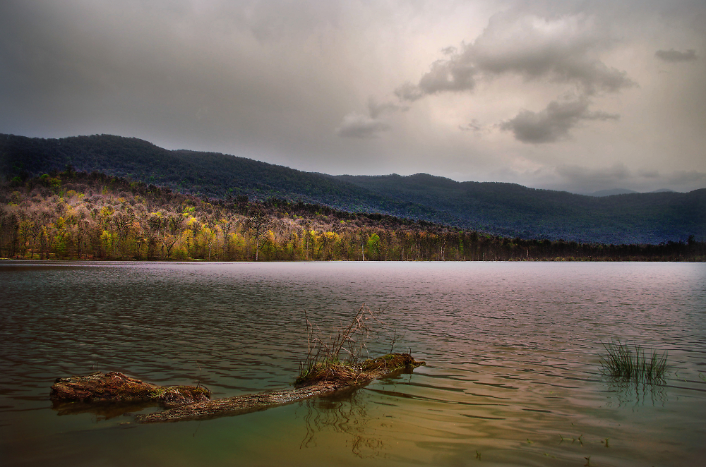 Rainy Evening
