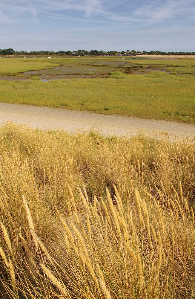 West Wittering Dunes 4