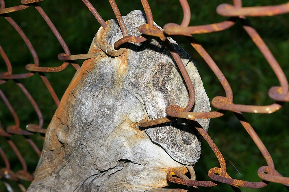 Wood vs Metal