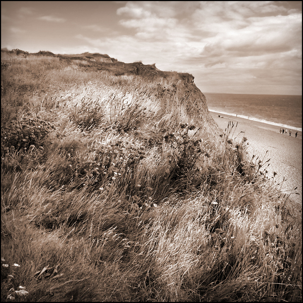 Cliff-top near Burton Bradstock, Dorset