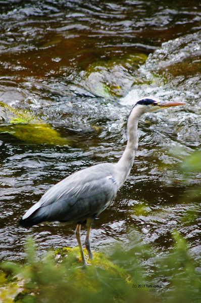 Gone fishing