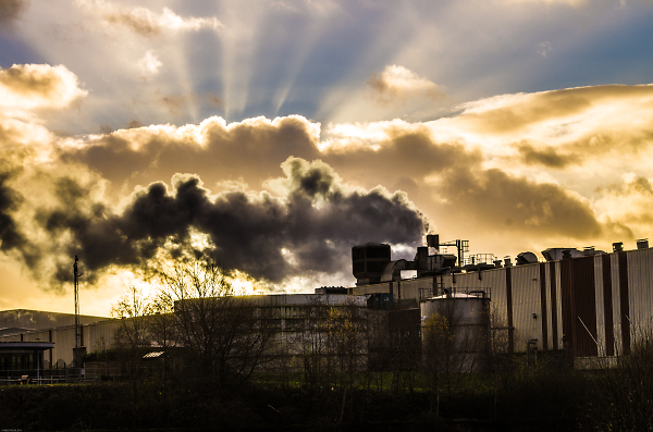 Makes a change to landscapes