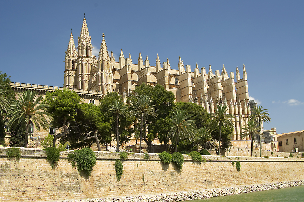 Palma cathedral
