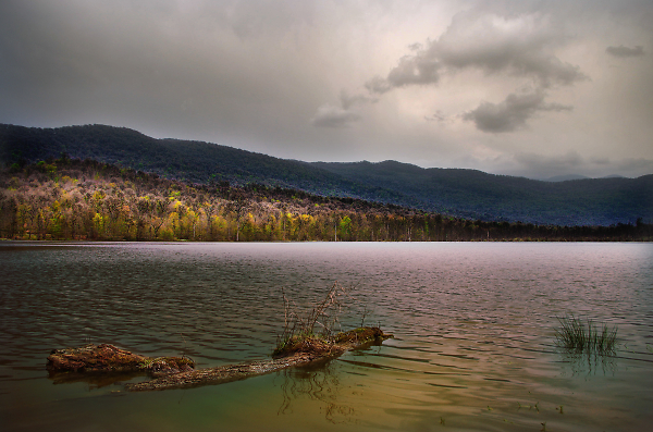 Rainy Evening