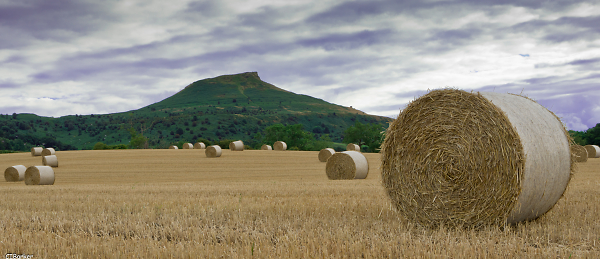 Roseberry Topping Harvest Time