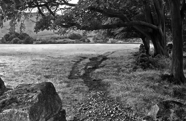 The Path