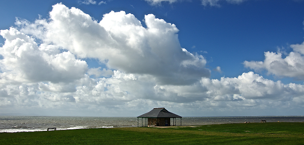 The Shelter