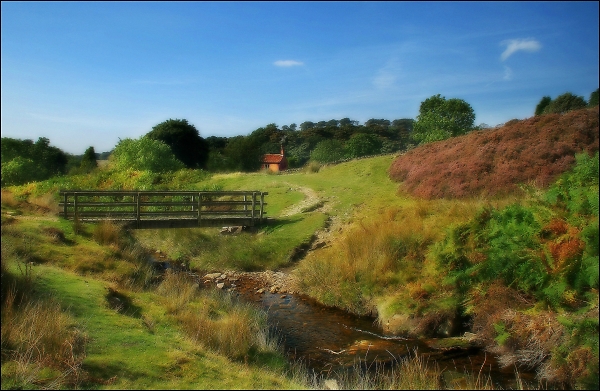 The way home