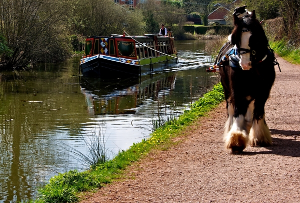 Tiverton canel
