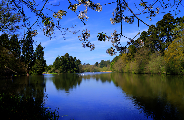 Tredegar House Lake