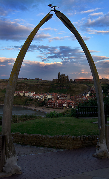Whale Bones and Whitby