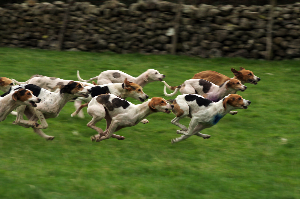 ...and they're off!
