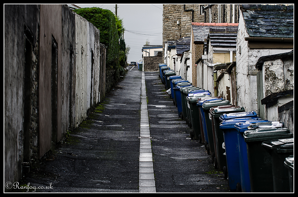 A Dusty Bin colony