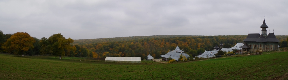 Colors of the autumn.