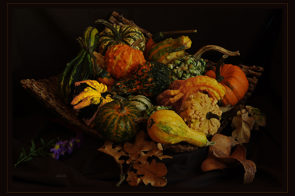 Fall