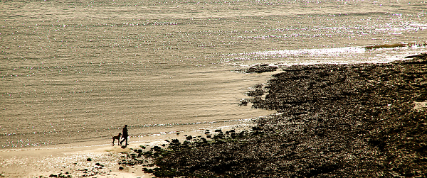 Beach Walk