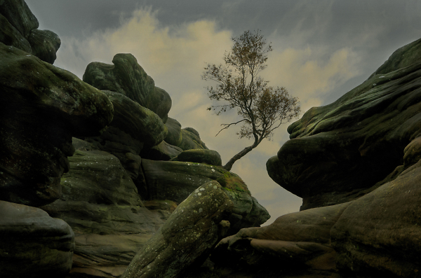 Brimham Rocks