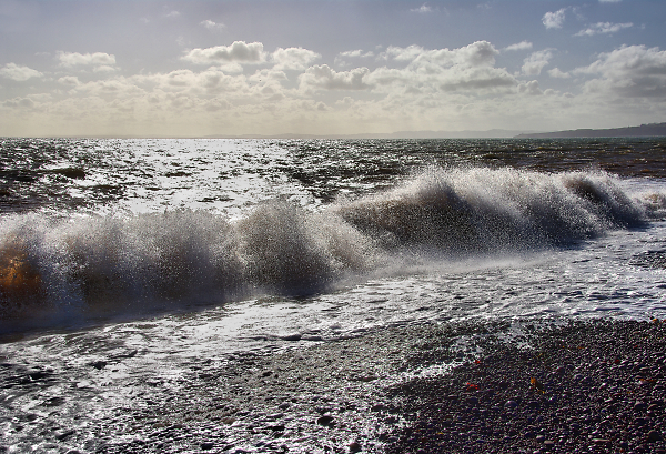 Budleigh Breakers