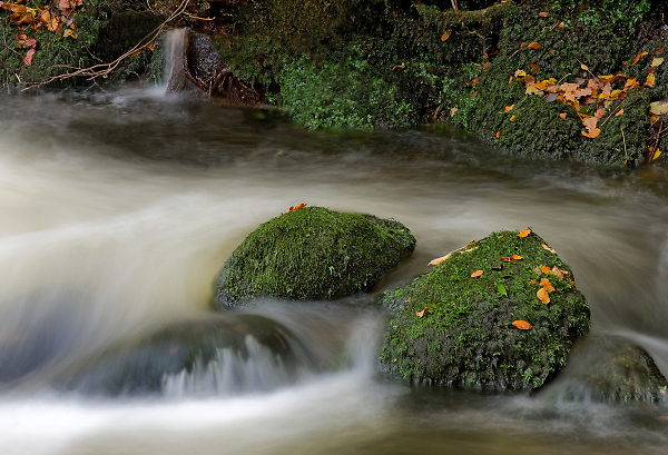 In The Flow