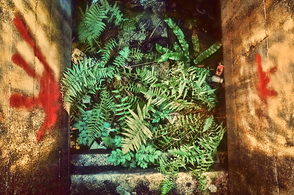 Jungle blues