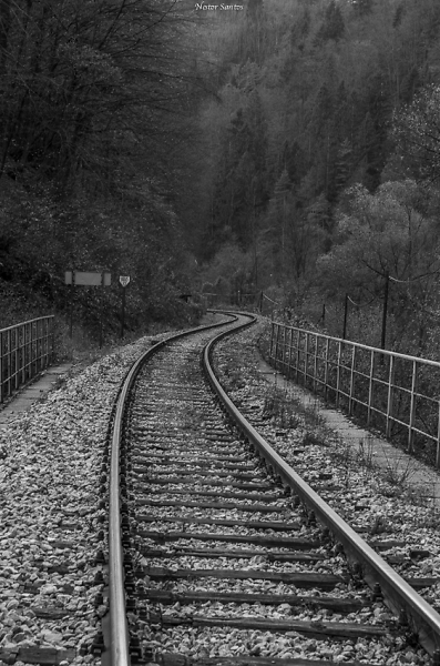 The trail