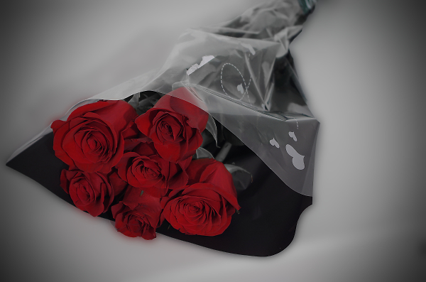Valentine's Roses