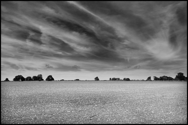 Wide Field in Gloucestershire