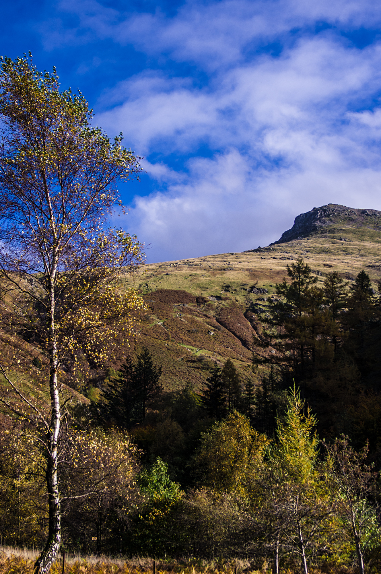 Near Thirlmere