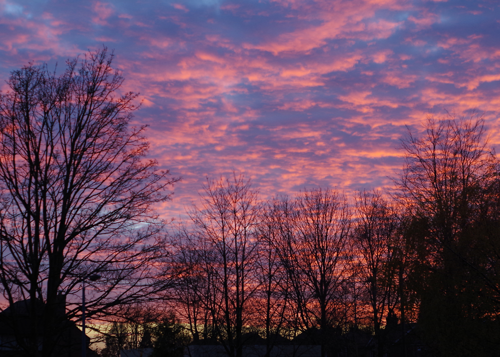 Cheshire Sunset