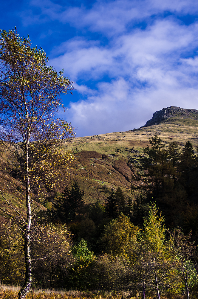 Near Thirlmere
