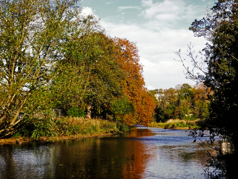 River Wansbeck - Morpeth