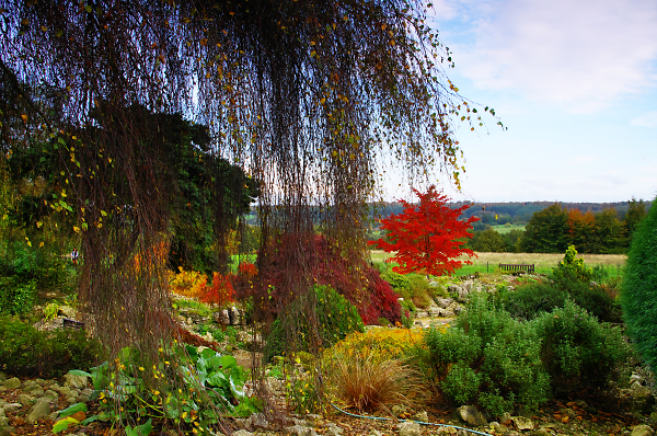 Autumn colour at Emmetts