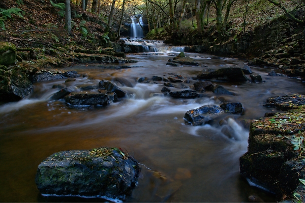 bowlees in teesdale